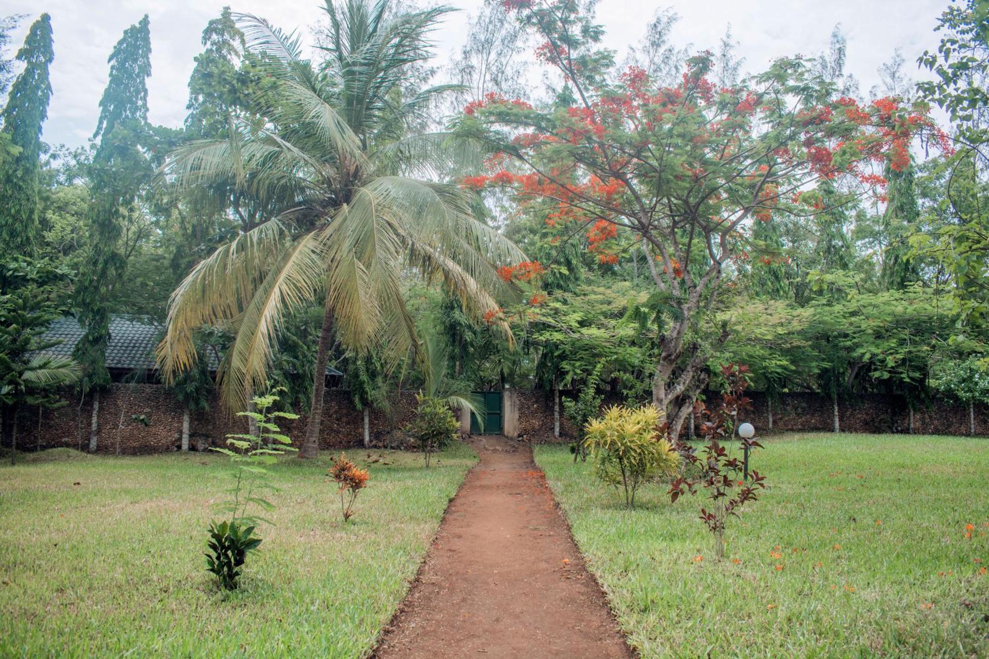 Kijani Cottages In Diani Diani Beach Kültér fotó