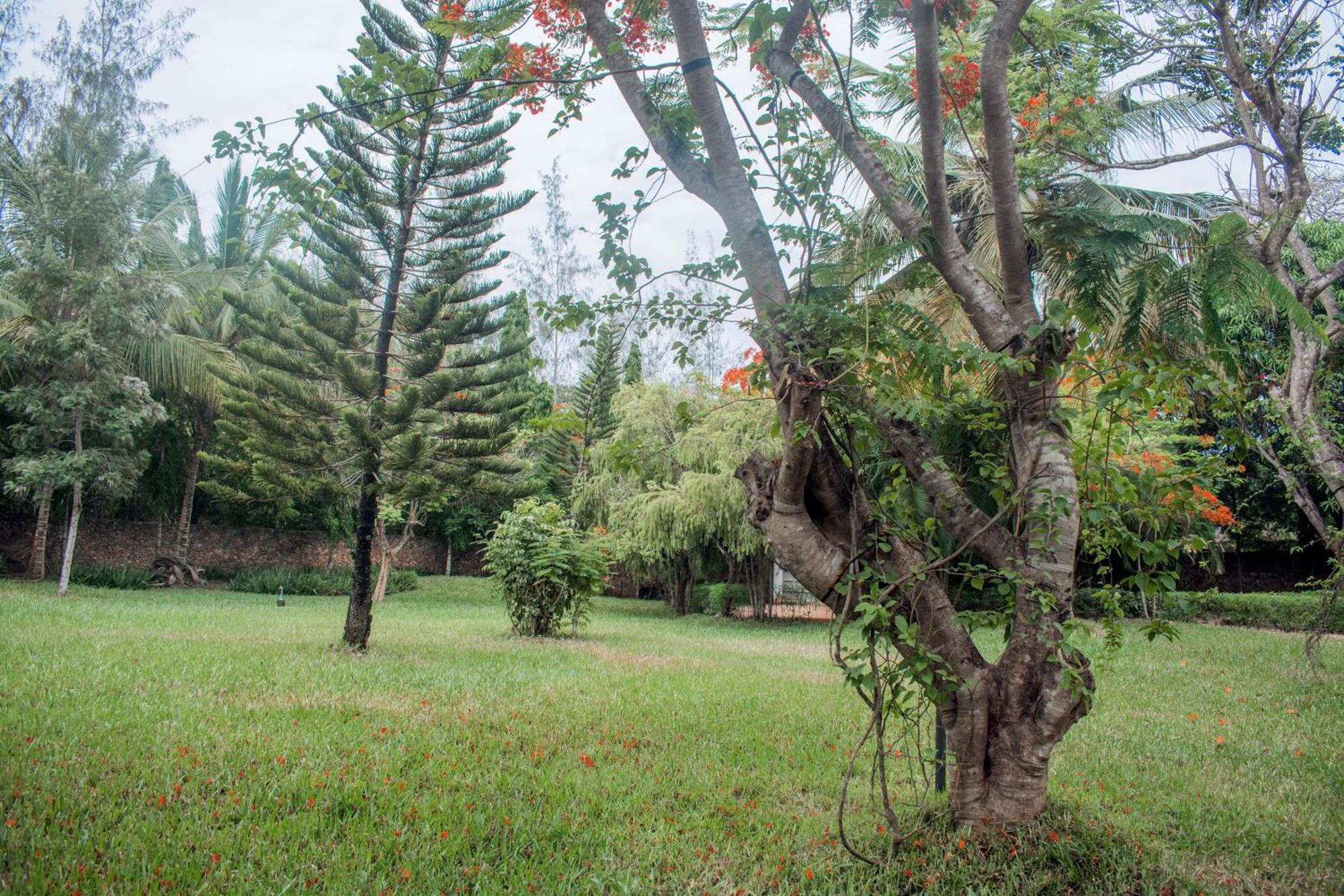 Kijani Cottages In Diani Diani Beach Kültér fotó