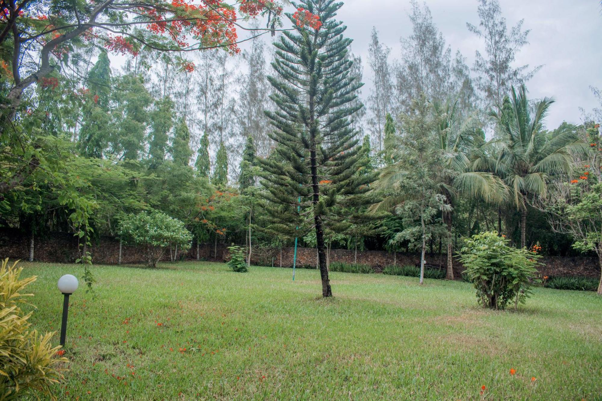 Kijani Cottages In Diani Diani Beach Kültér fotó